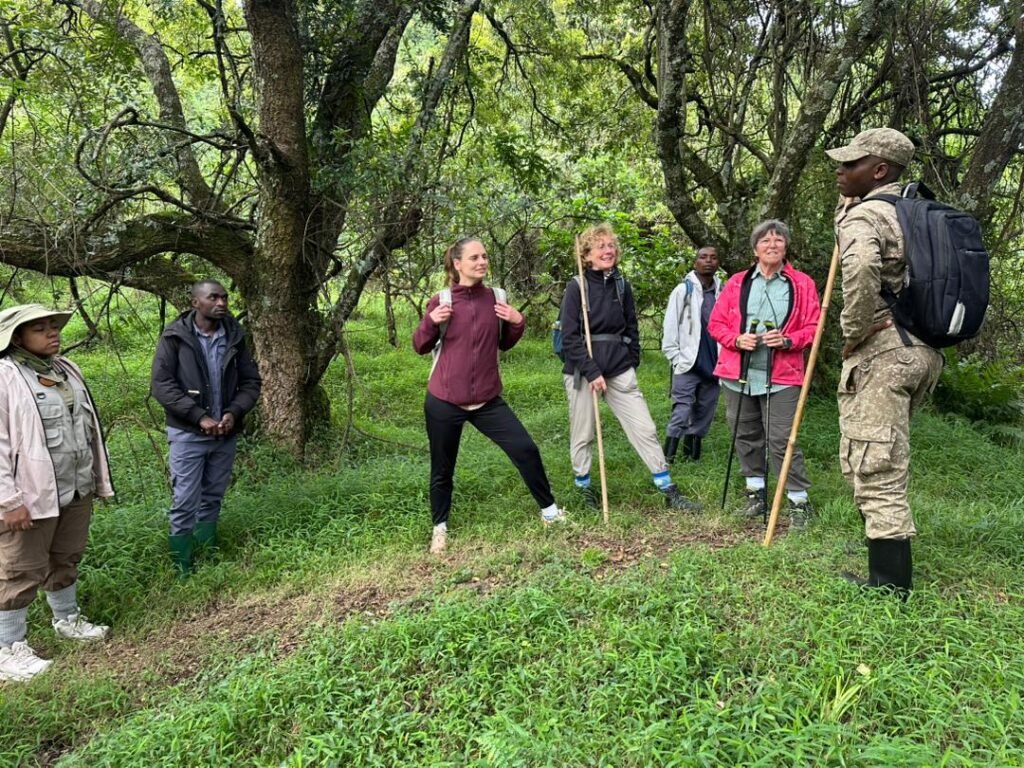 Best Uganda Rwanda Gorilla Tracking Safaris