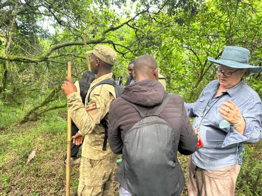 Best Uganda Rwanda Gorilla Tracking Safaris