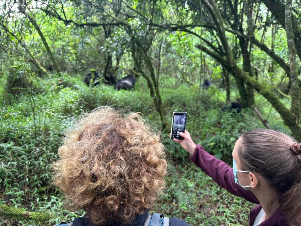 Best Uganda Rwanda Gorilla Tracking Safaris