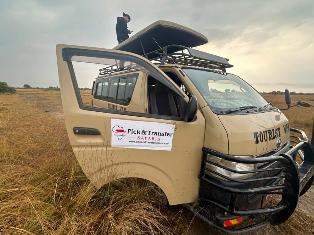 pick-and-transfer-safaris