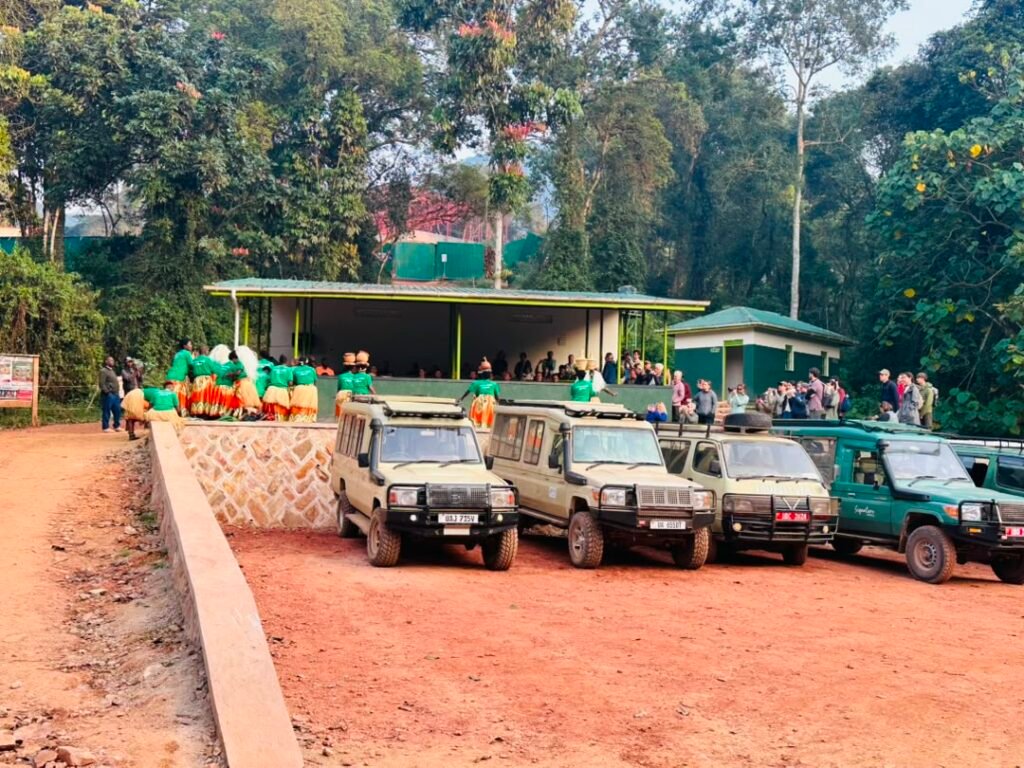 Short Gorilla Safaris from Kigali